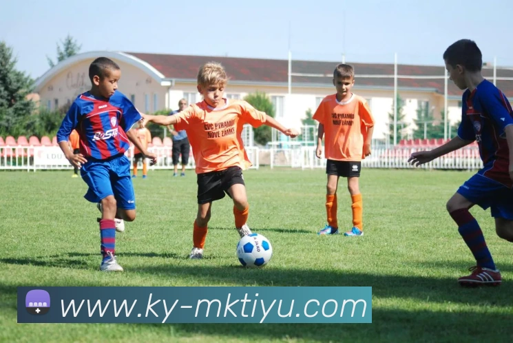 MK体育平台生态图